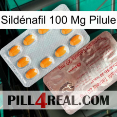 Sildénafil 100 Mg Pilule new13